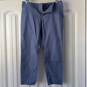 The Limited Blue Capris